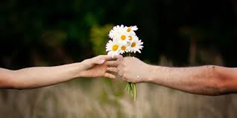 Man giving daisies to a woman.